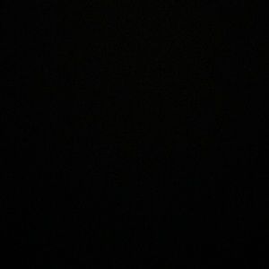 Meet your Posher, Dani